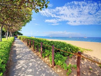Path to beach